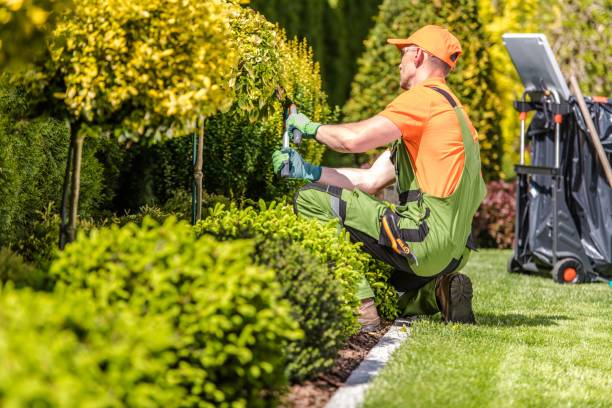 Jardinage